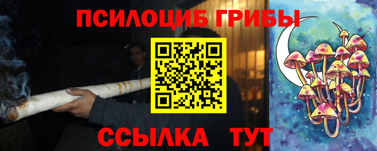Лабинск  Псилоцибиновые грибы Psilocybine cubensis  Вход с VPN 